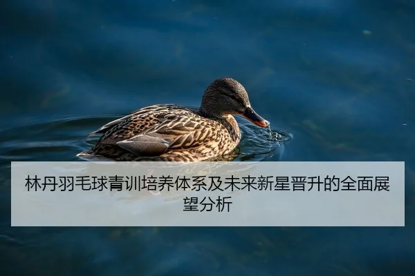 林丹羽毛球青训培养体系及未来新星晋升的全面展望分析