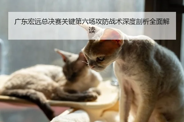 广东宏远总决赛关键第六场攻防战术深度剖析全面解读